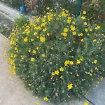 Apartment Mahane Tirana