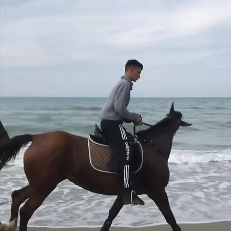 Mahane * Тирана