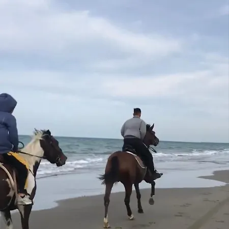 Mahane Апартаменты *