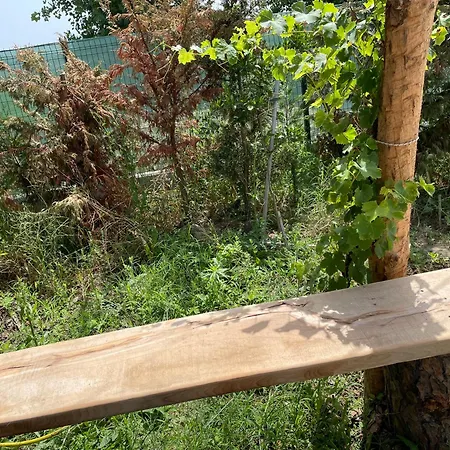 Mahane Апартаменты Тирана